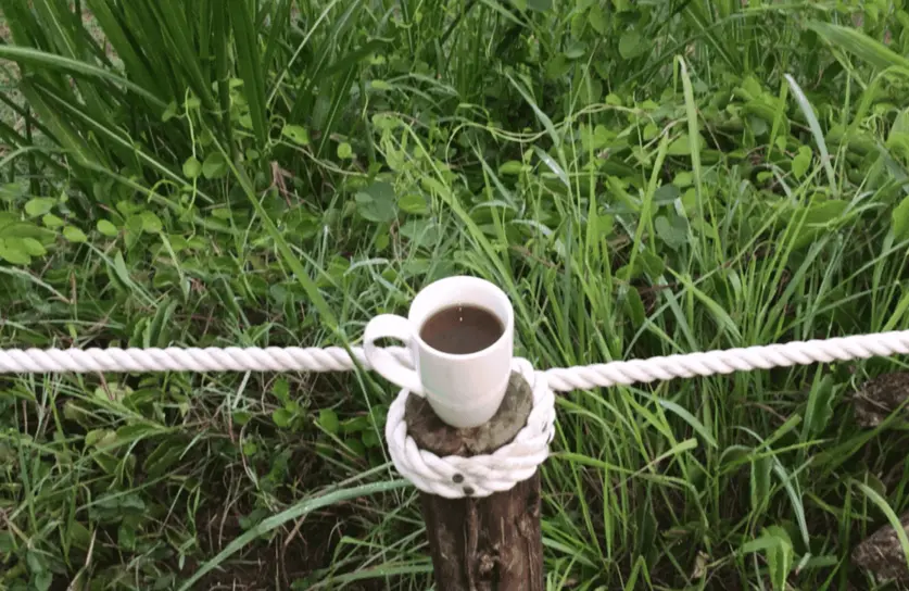 Lone Coffe Cup
