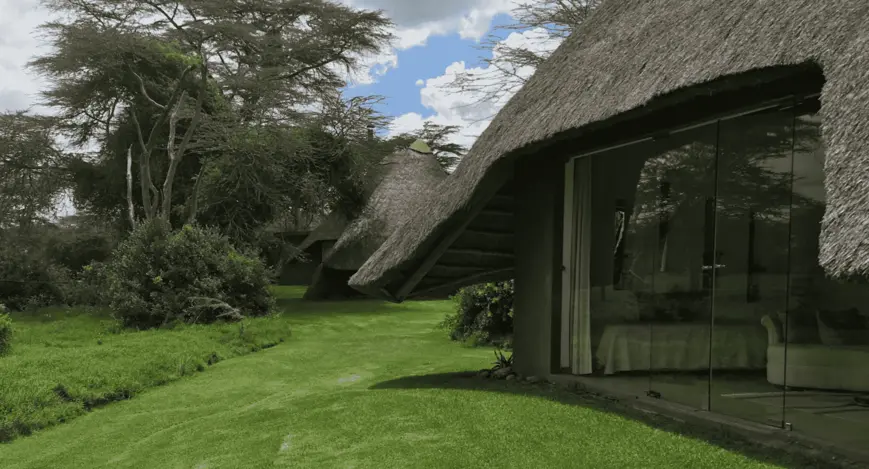 solio lawn